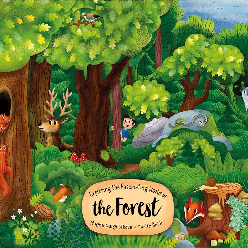 World of the Forest Board Book