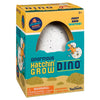 Ginormous Grow Dino Egg