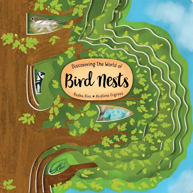 Bird Nests Board Book