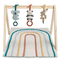 Activity Gym - Wooden Gym with Toys