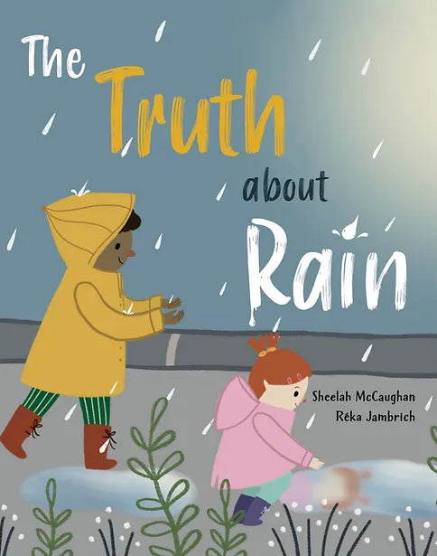 The Truth About Rain Book