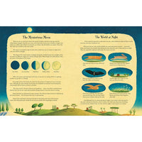 I Took the Moon for A Walk Board Book